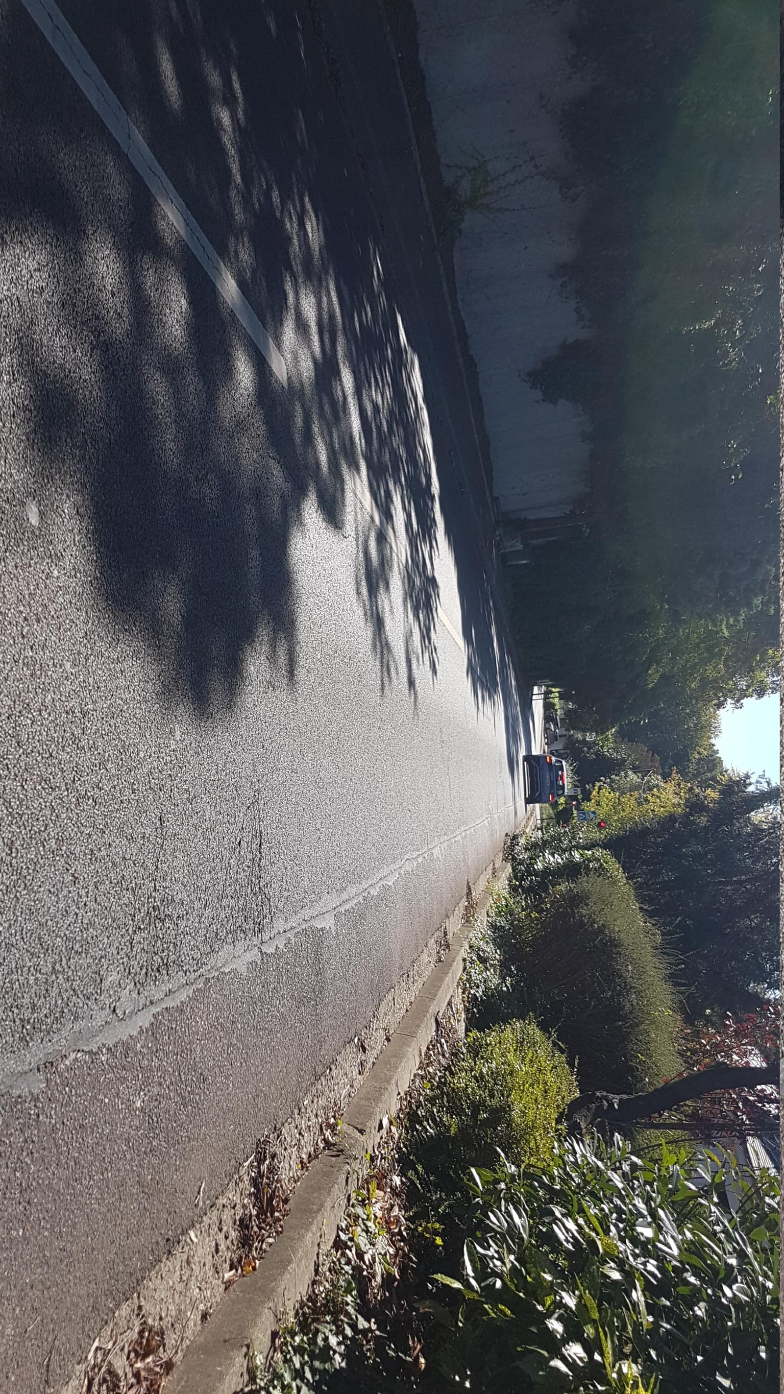 Photo de 79 AVENUE DE VERSAILLES