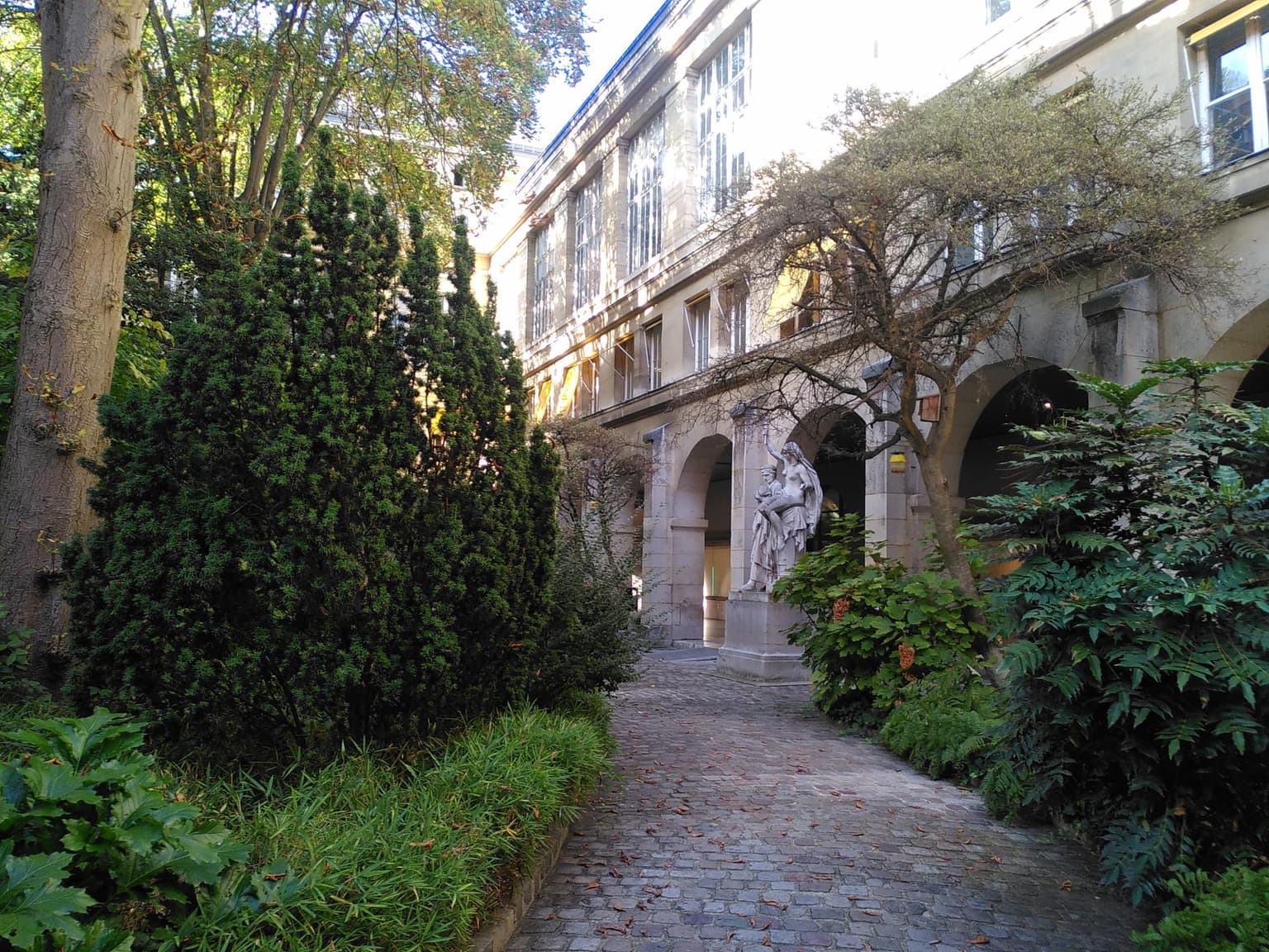Photo de 15 RUE DE L' ECOLE DE MEDECIN
